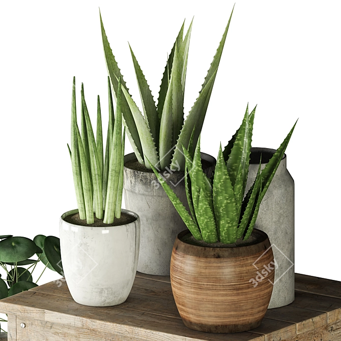 Variety of Plants with Unique Pots 3D model image 2