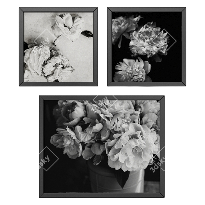 Contemporary Black & White Floral Set 3D model image 1