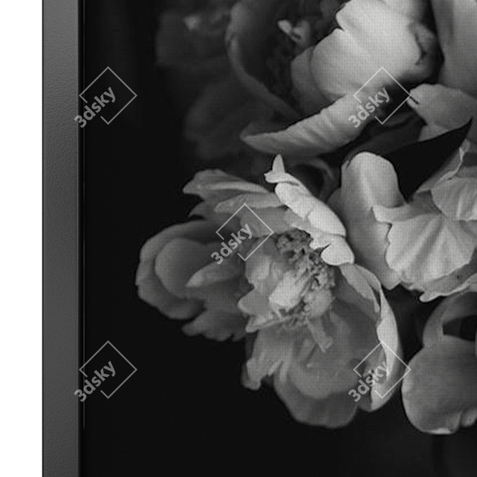 Contemporary Black & White Floral Set 3D model image 2
