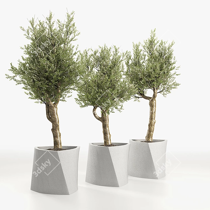 Muxart Bilbao: Contemporary Stone Planter 3D model image 2