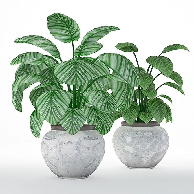 Modern Plant 3D Model Kit 3D model image 1