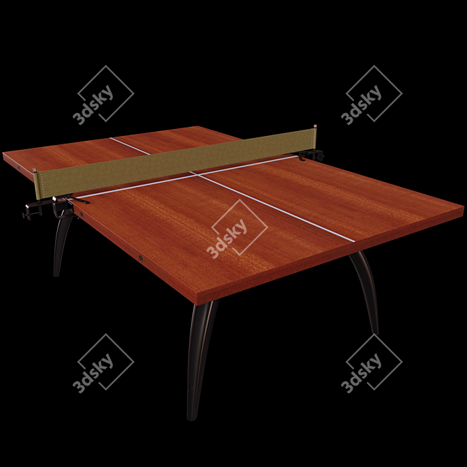 Solid Wood Tennis Table 3D model image 1