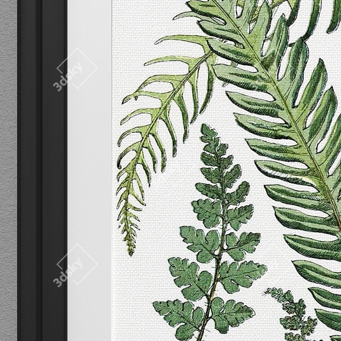 Vintage Botanical Art Prints 3D model image 3