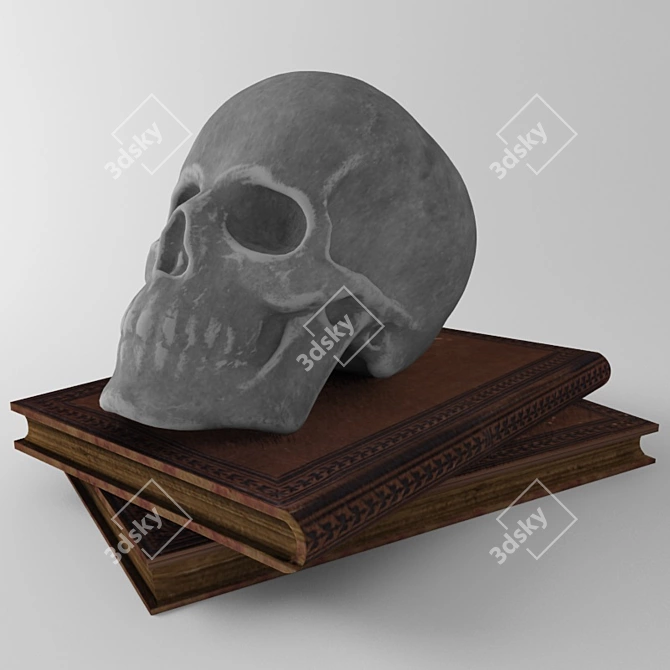 Skull Book Combo 3D model image 1