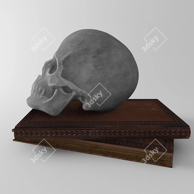 Skull Book Combo 3D model image 3