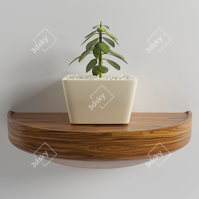 Modern 3D Decor Plant 3D model image 1