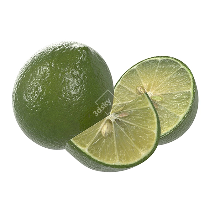 Zesty Citrus Lime Fruit Roams 3D model image 1