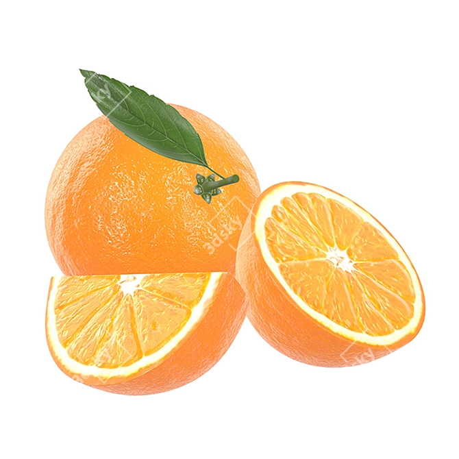 Geometry Orange Fruit 3D Model 3D model image 1