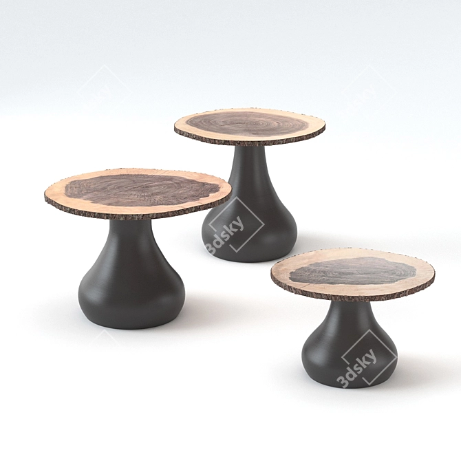 Unique Walnut Wood RIO Coffee Table 3D model image 1