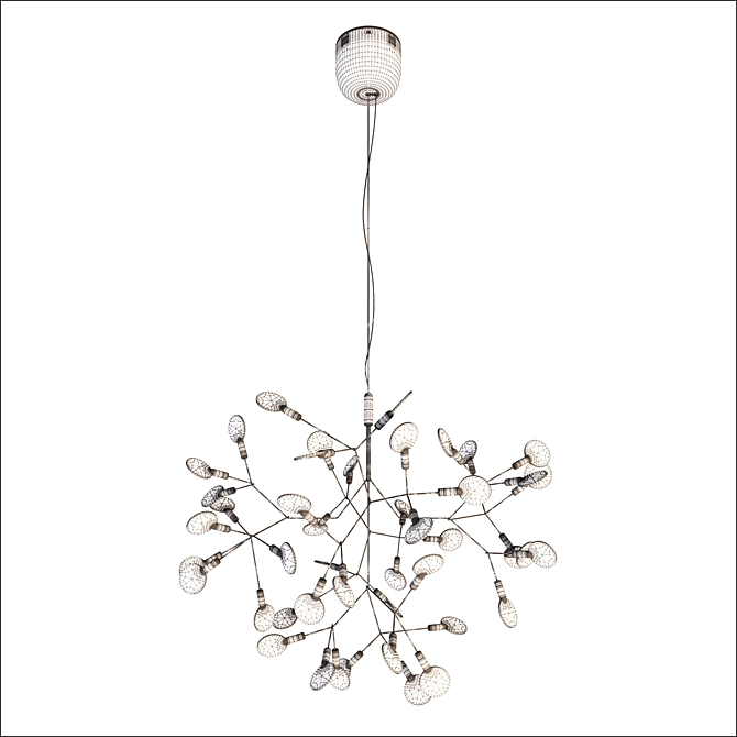 Moooi Heracleum D72 Chandelier 3D model image 3