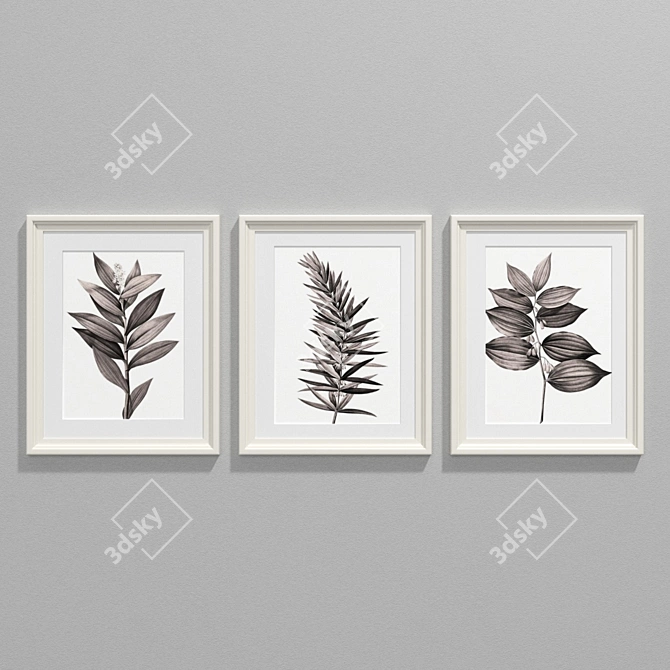 Sepia Botanical Prints Collection 3D model image 2