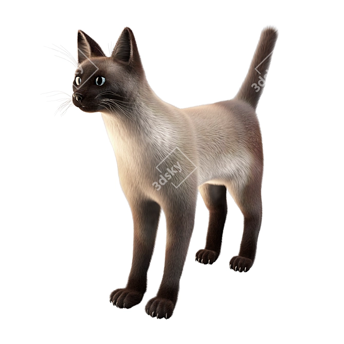 Title: Poseable Siamese Cat Model 3D model image 1