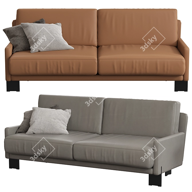 Elegant DS-77 Sofa: Redefining Comfort 3D model image 1