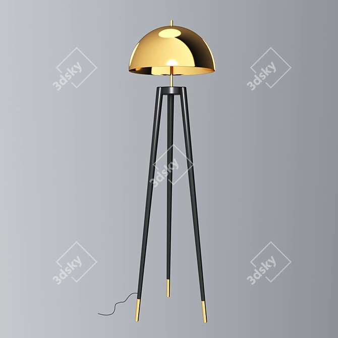 Modern Metal Fife Tripod 3D model image 1