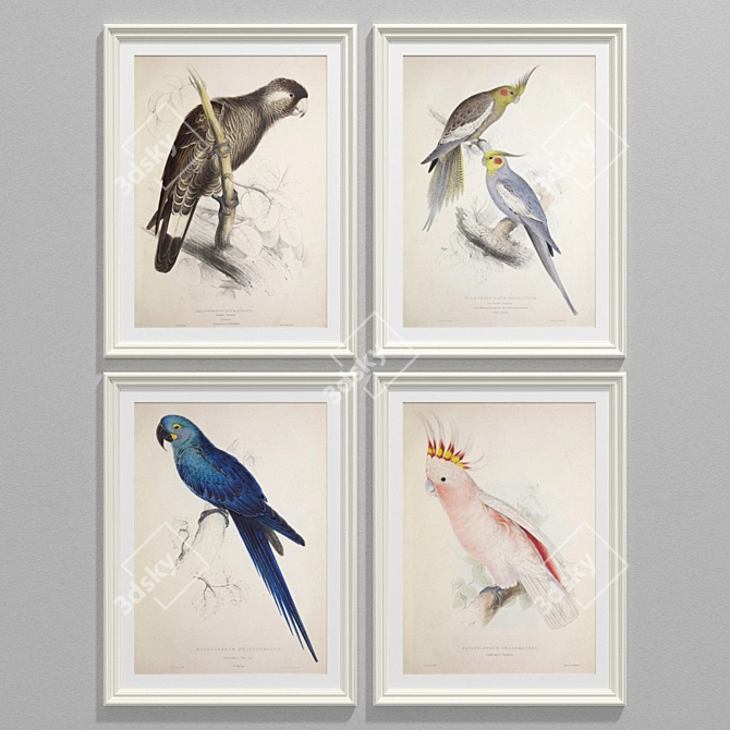 Contemporary Parrot Art Collection 3D model image 2