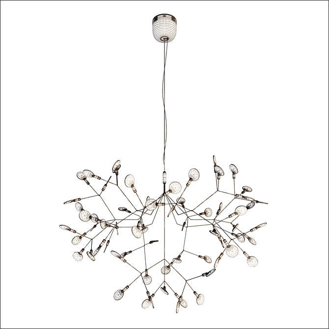 Sculptural Heracleum Lighting Fixture 3D model image 3