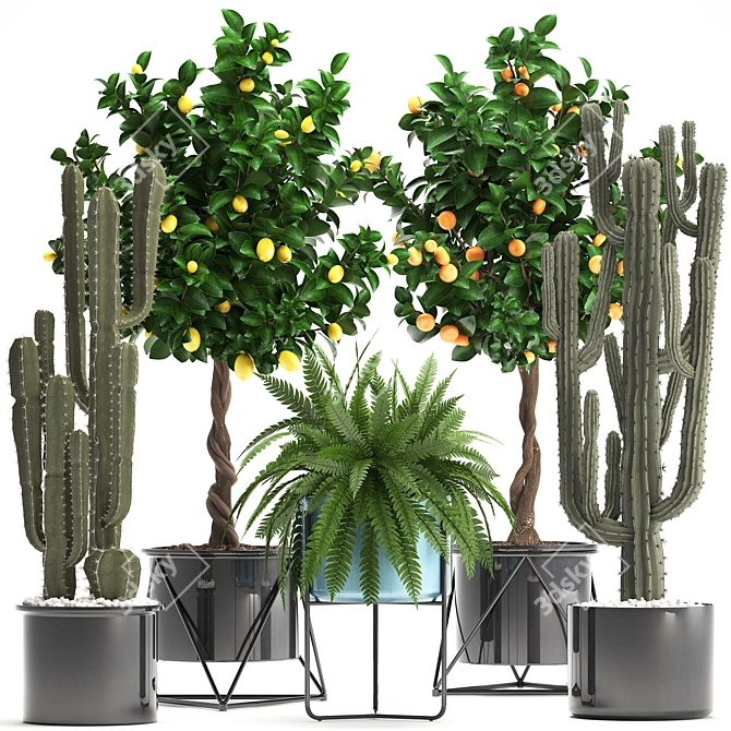 Exotic Plant Collection 3D model image 1