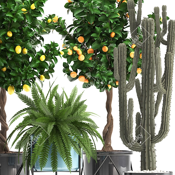 Exotic Plant Collection 3D model image 2