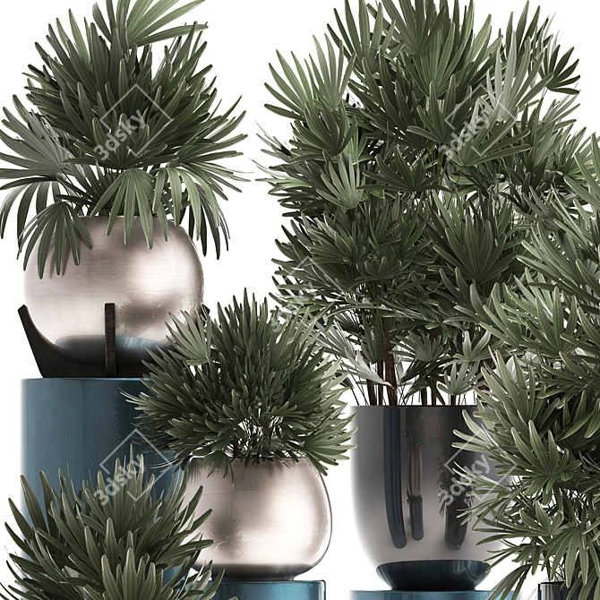 Exotic Palm Plant Collection 3D model image 2