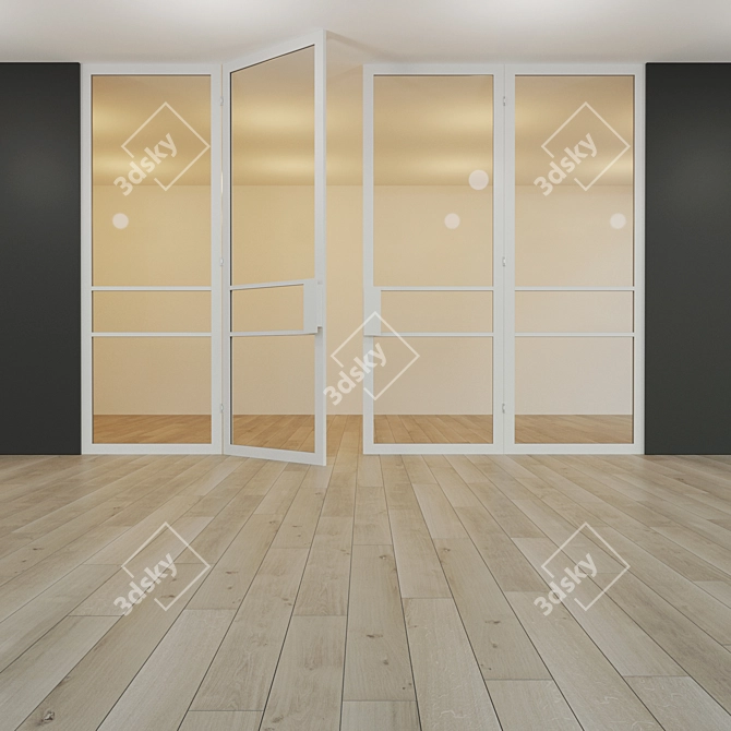 Modern Glass Partition with Swing Door 3D model image 3