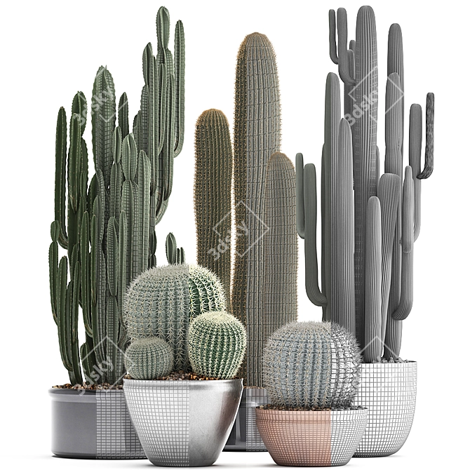 Exotic Cactus Collection - 300 Plants 3D model image 3