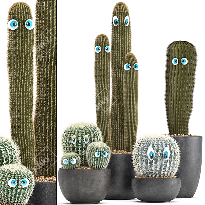 Exotic Cactus Collection 3D model image 1