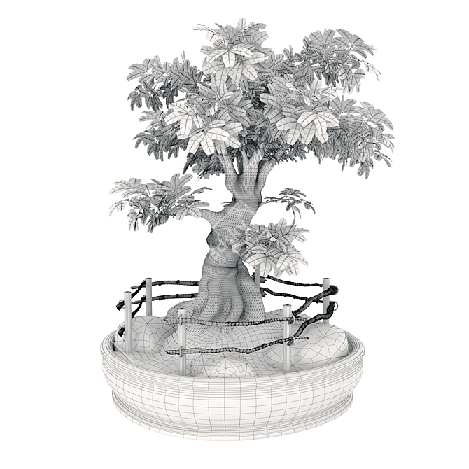 Opulent Opacity Bonsai Tree 3D model image 3