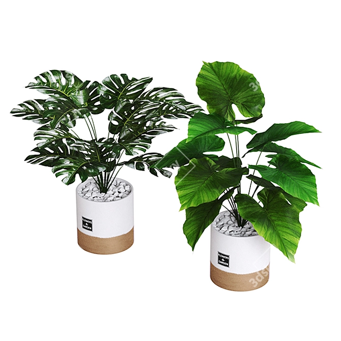 Botanical Bliss: Plant Collection 1 3D model image 2
