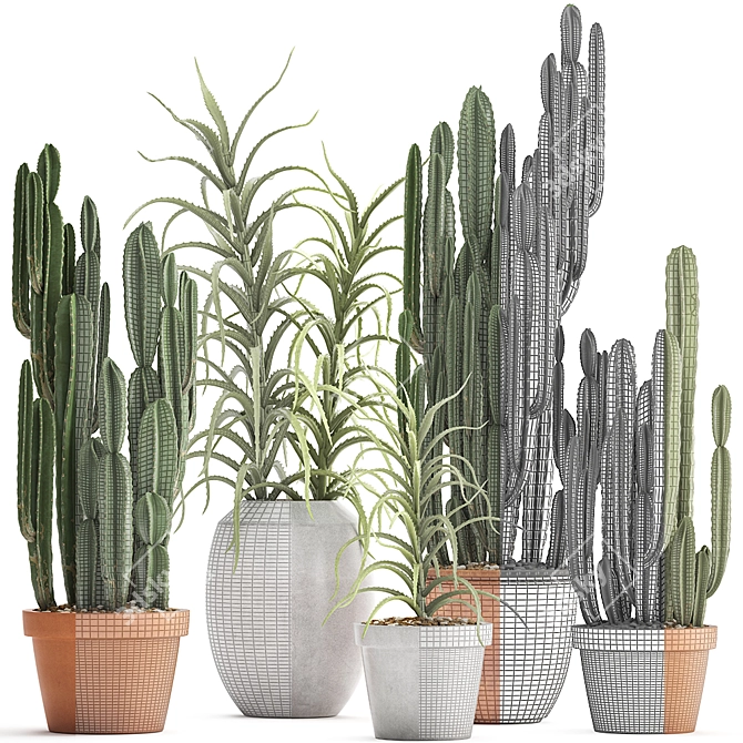 Exotic Cactus Collection: 302 Varieties 3D model image 3