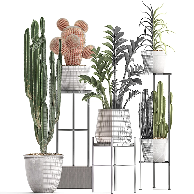 Exotic Plant Collection: Cactus Set 3D model image 3