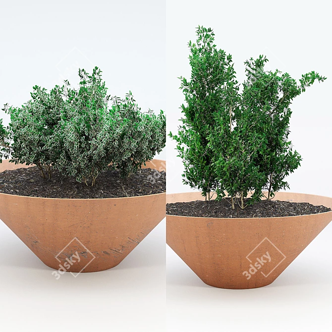 DAMAS Corten Steel Planter 3D model image 2