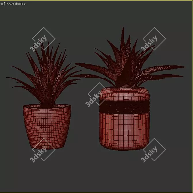 Leafy Greens Galore 3D model image 3