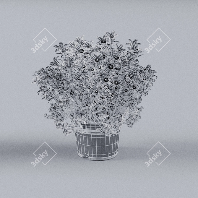 Campanula Houseplant: Elegant and Unique Décor 3D model image 2