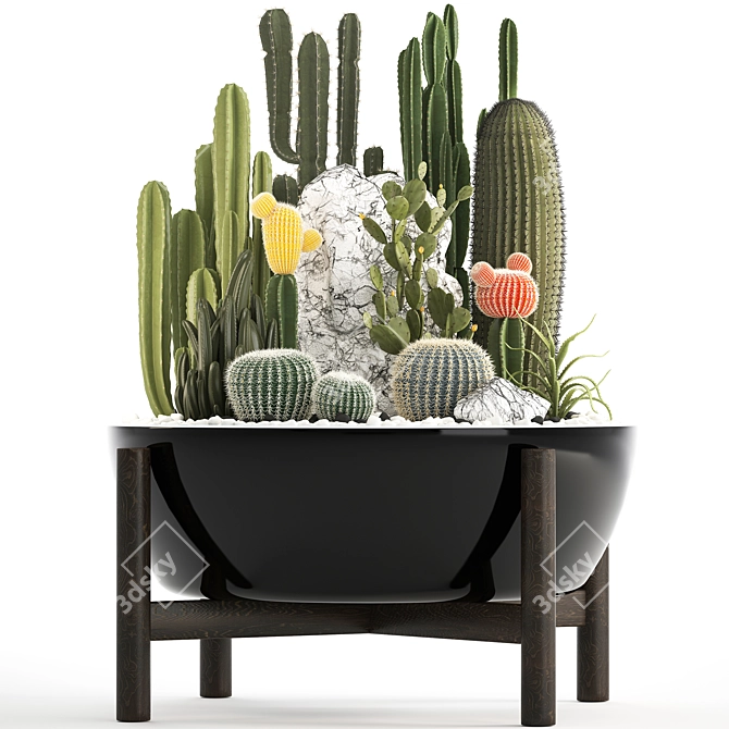 Title: Exotic Plant Collection: Cactus Set 3D model image 2
