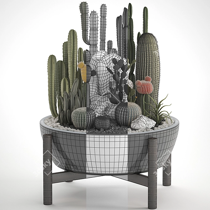 Title: Exotic Plant Collection: Cactus Set 3D model image 3
