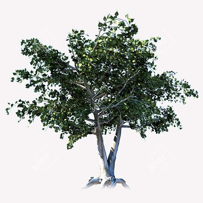 Eco-friendly Tree Nursery 3D model image 1