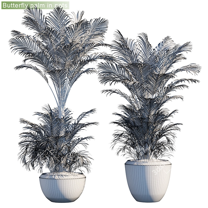 Outdoor Butterfly Palm: Stunning and Low-Maintenance 3D model image 2