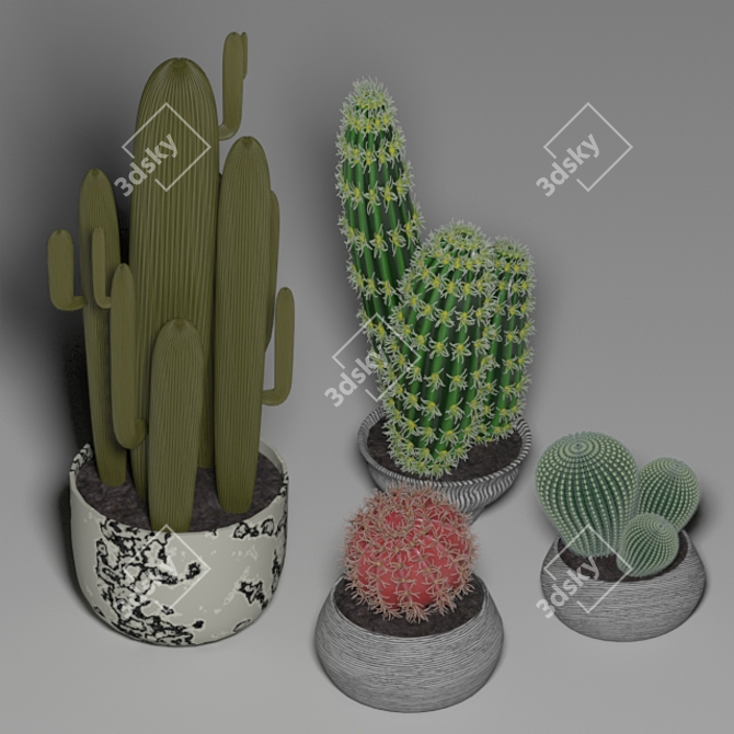 Desert Oasis: 4-Piece Cactus Set 3D model image 1