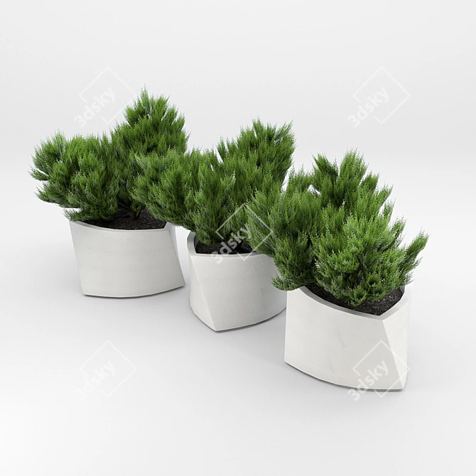 Contemporary Triangular Stone Planter 3D model image 2