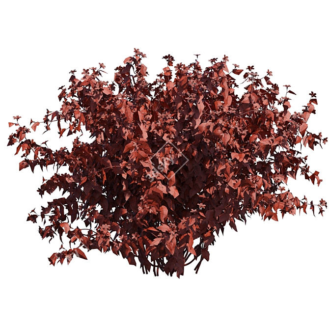 Flowering Weigela Bush Trio | Weigela Florida 3D model image 2