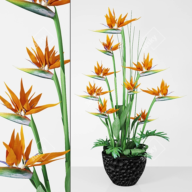 Strelitzia 3D Model - Vray & Corona Compatible 3D model image 1