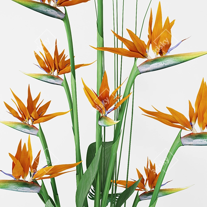 Strelitzia 3D Model - Vray & Corona Compatible 3D model image 2