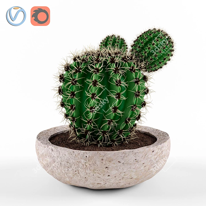 Stone Pot Cactus 3D model image 1