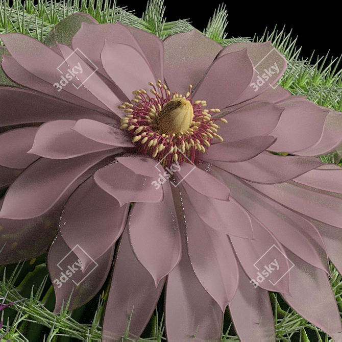 Desert Dreams Cactus Set 3D model image 3