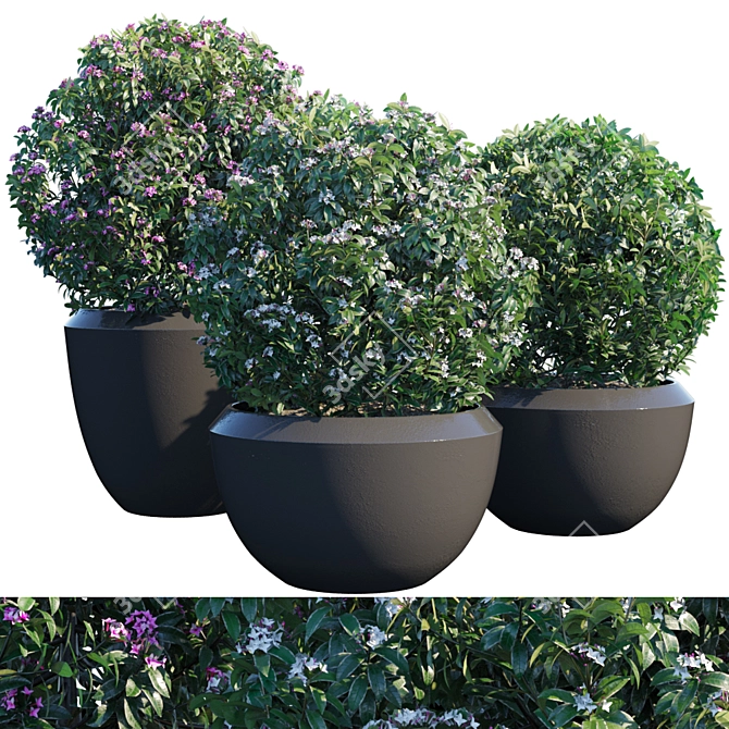 Gorgeous Potted Plant #2 3D model image 1