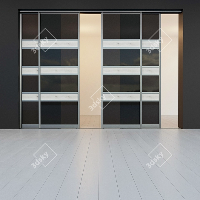 Sleek Sliding Door Closet Partition 3D model image 2