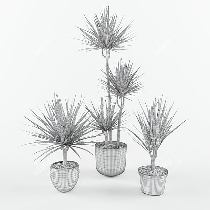 Evergreen Elegance Yucca Set 3D model image 3