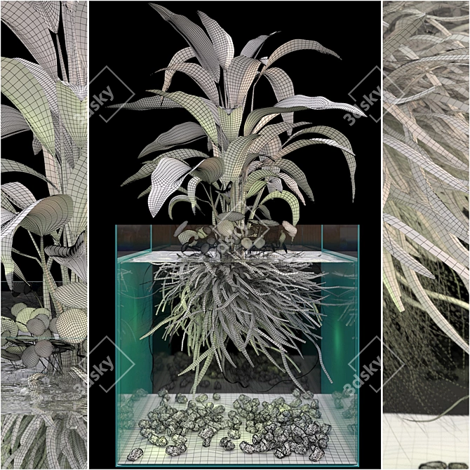 Ocean Green Seaweed Aquarium 3D model image 2