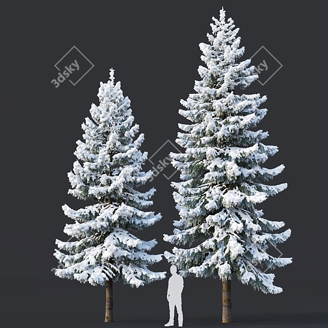 Snowy Spruce #6 - 8,10m Height 3D model image 1