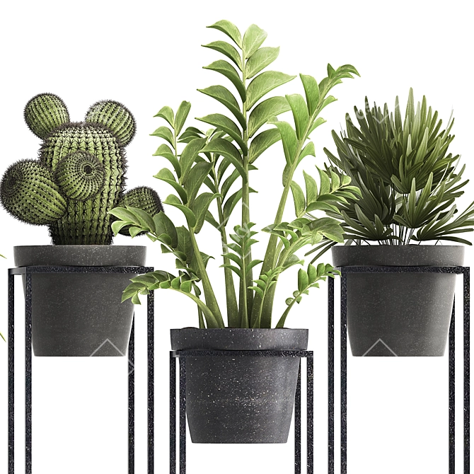 Exotic Indoor Plant Collection 3D model image 2